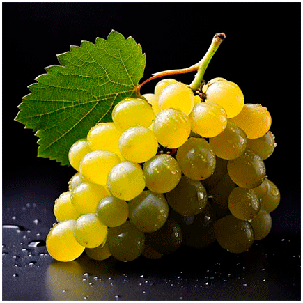 White Grapes Natural flavour